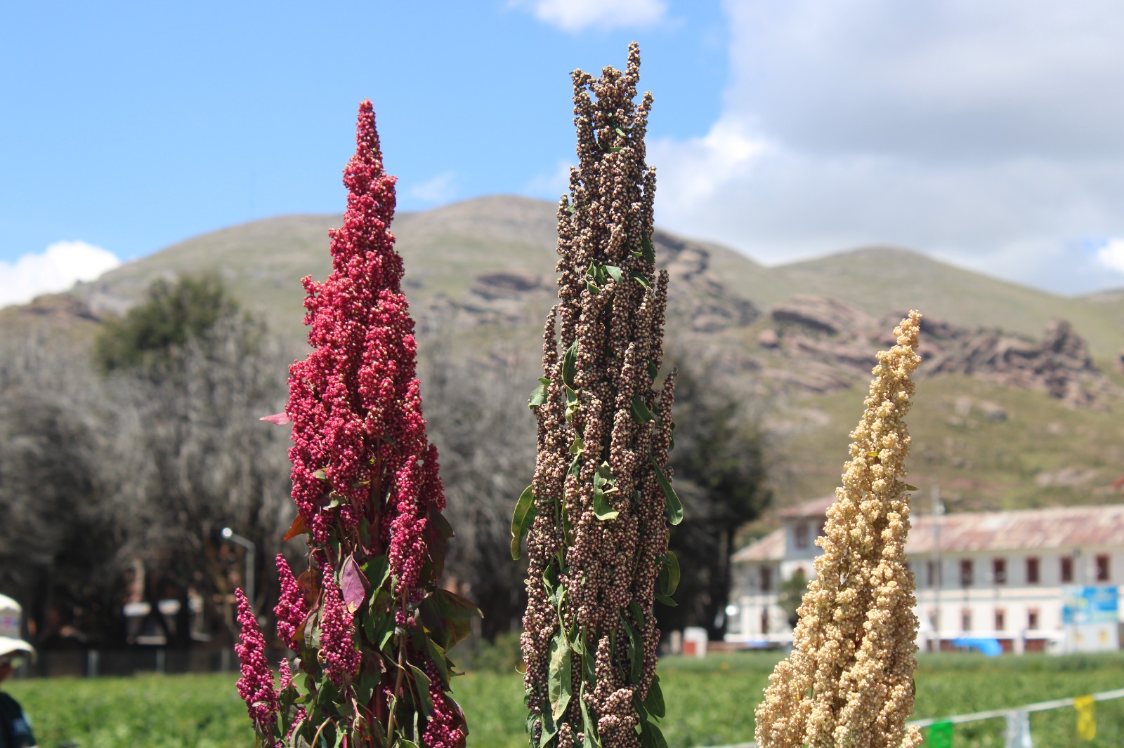 WhatsApp Image 2026 03 21 at 10.46.37 AM