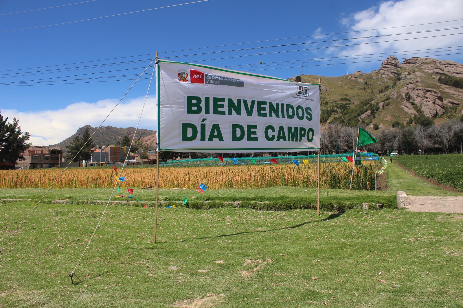 WhatsApp Image 2026 03 21 at 10.46.38 AM 1